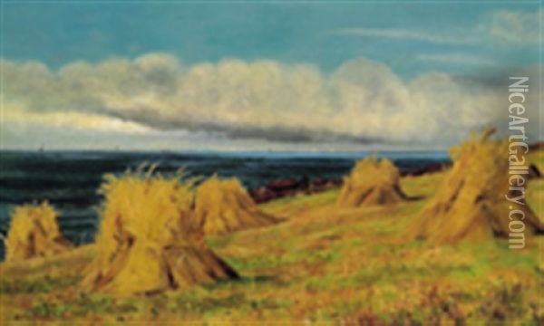 Kornfeld An Der Meereskuste Oil Painting - Heinrich Hiller