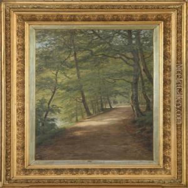 Forest Scenery Oil Painting - A. G. Jacobsen