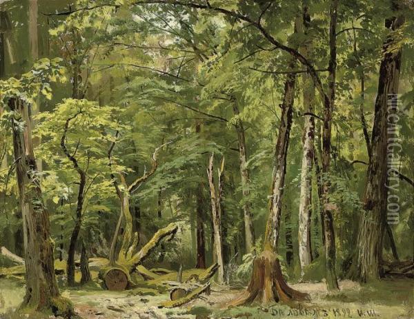 Summer In The Belovezh Forest Oil Painting - Ivan Shishkin