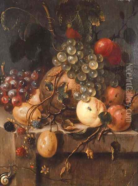 Bunches of grapes, raspberries, plums, a melon, peaches and apricots with a snail on a ledge Oil Painting - Jan van Doornik