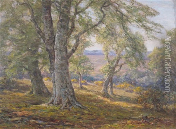 Spring In The New Forest Oil Painting - Frederick Golden Short