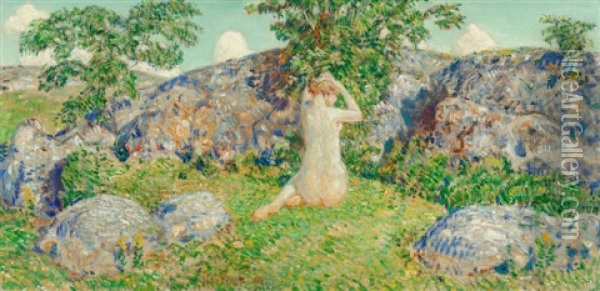 The Rocks Of Cape Ann Oil Painting - Childe Hassam