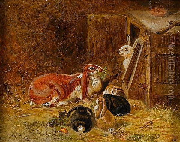 Study Of Rabbits Oil Painting - John Frederick Herring Snr