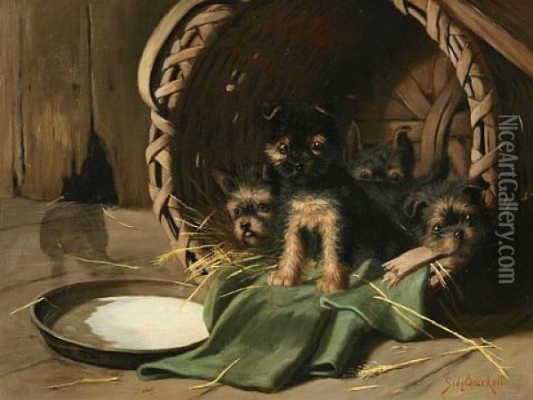 Basket Full Of Puppies Oil Painting - Sidney Lawrence Brackett