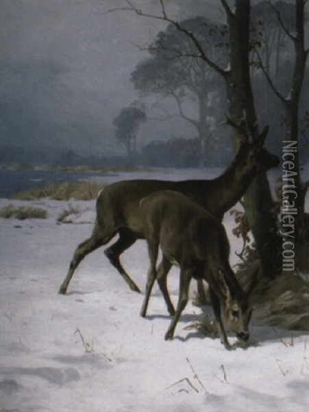 Deer Near A Lake In Winter Oil Painting - Adolf Heinrich Mackeprang