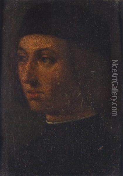 Portrait Of A Man Wearing Black Oil Painting - Andrea Previtali