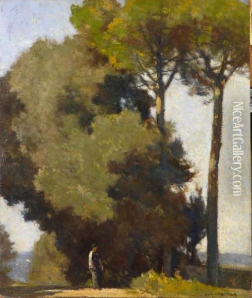 Paesaggio Al Gabbro Oil Painting - Ludovico Tommasi