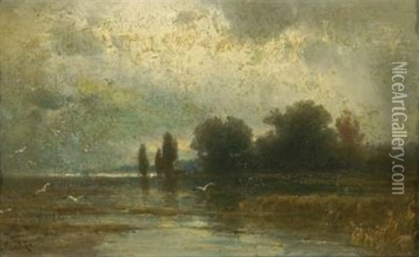 Flussauen Oil Painting - Carl Bolze