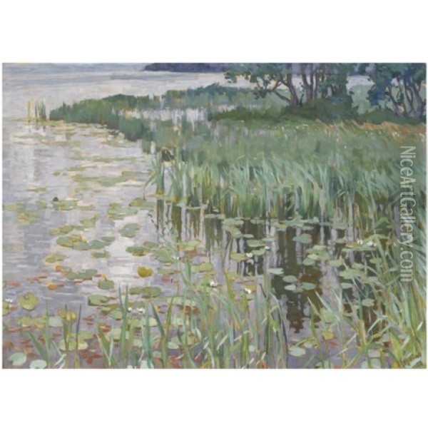 Reeds Oil Painting - Anatoly Dmitrievich Kaigorodov