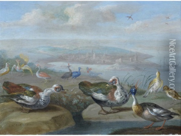 Malao (?somalia, Africa): Egyptian Geese, A Red Breasted Merganser And Other Birds On A Shore, A Town Beyond Oil Painting - Jan van Kessel the Elder