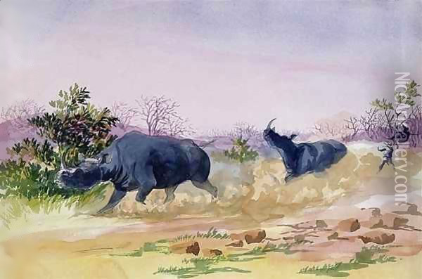 John Sawing's narrow escape from being run down by a couple of rhinoceros, north of the Makabie River, 1862 Oil Painting - Thomas Baines