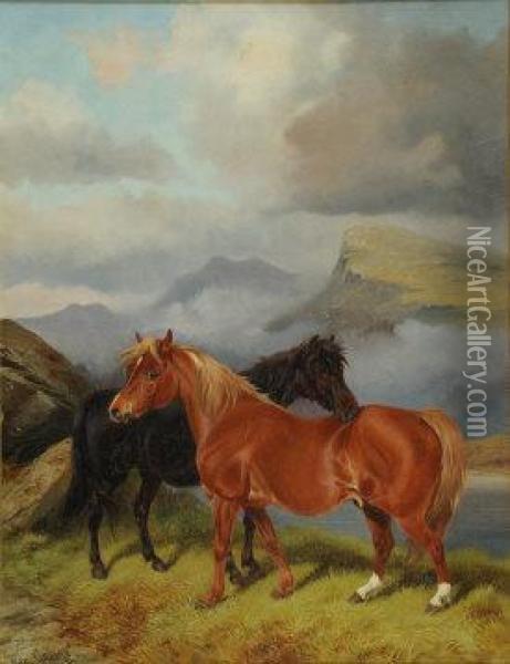 Two Ponies, Abay And A Chestnut, In A Mountain Landscape Oil Painting - Colin Graeme Roe