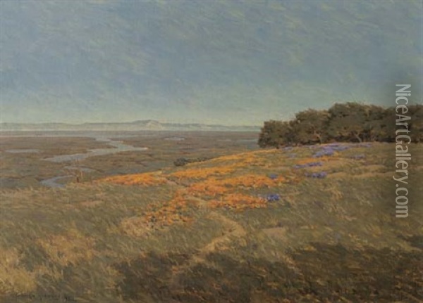 California Landscape With Poppies And Lupine Oil Painting - Granville S. Redmond