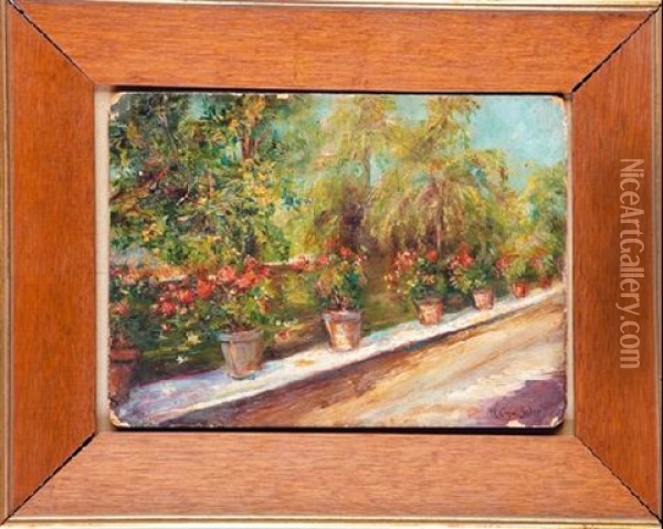 Jardin Con Geranios Oil Painting - Joan Roig Soler
