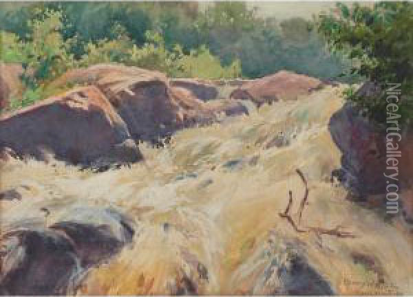 Mousam Falls Oil Painting - Henry Webster Rice