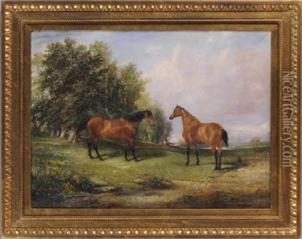 Two Bay Horses In A Meadow Oil Painting - John Frederick Herring Snr