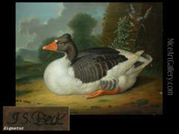Ente
53,5 X 69,5 Cm. Ol/lwd Oil Painting - Jacob Samuel Beck