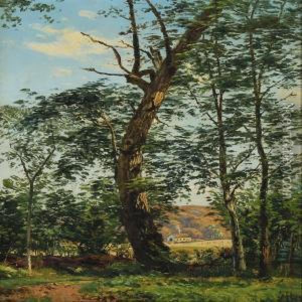 Forrest Scenery Oil Painting - Anton Erik Ch. Thorenfeld