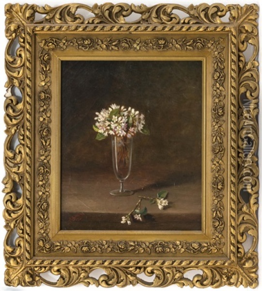 Still Life Of Flowers In A Glass Vase Oil Painting - John Clinton Spencer