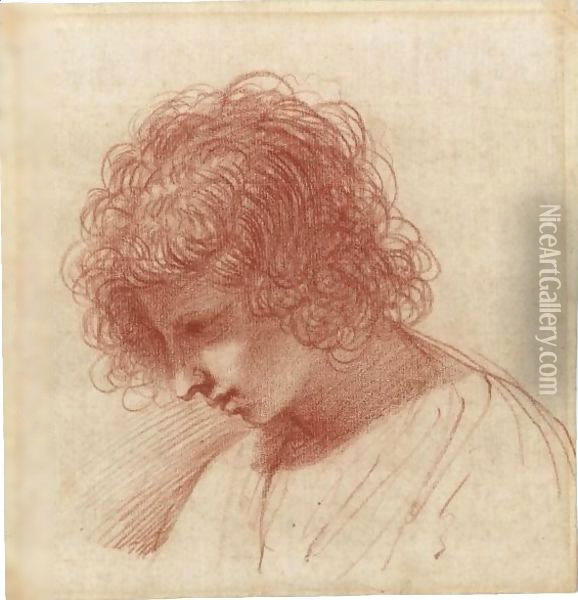 Head Of A Young Man In Profile, Looking Down To The Left Oil Painting - Giovanni Francesco Barbieri