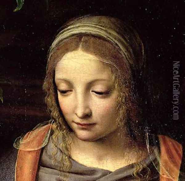 The Virgin and Child in a Landscape 2 Oil Painting - Bernardino Luini