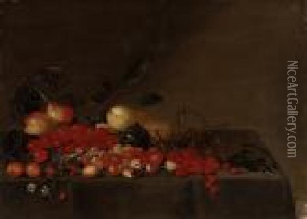 Apples, Plums, Cherries, Strawberries, Redcurrants, And Blackcurrants On A Draped Ledge Oil Painting - Floris Gerritsz. van Schooten