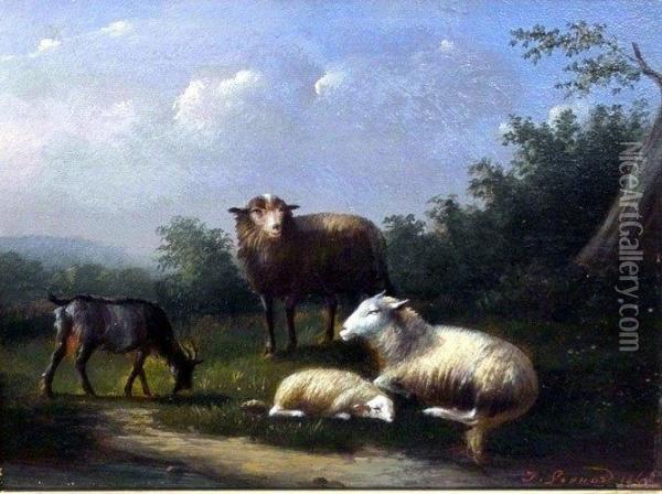 Weidende Schafe Und Ziege Oil Painting - Jules Leonard