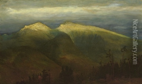The White Mountains (from Randolph Hill) Oil Painting - Homer Dodge Martin