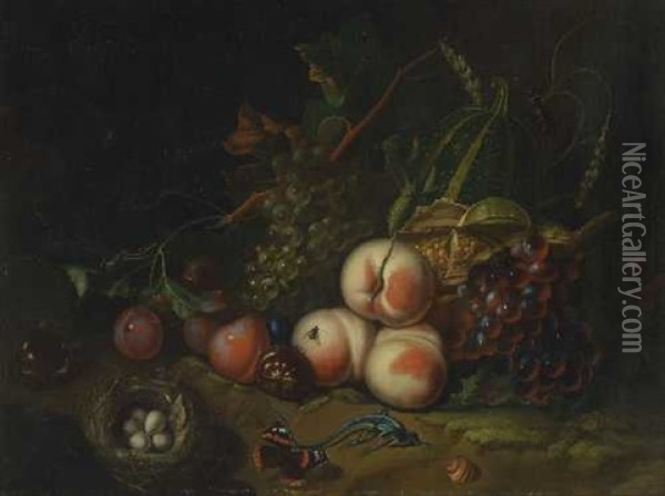 Fruchtestillleben Mit Vogelnest Oil Painting - Willem Verbeet