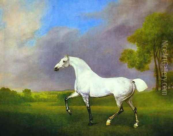 A Grey Horse Oil Painting - George Stubbs