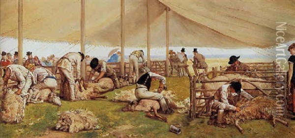 A Sheep-shearing Match Oil Painting - Eyre Crowe