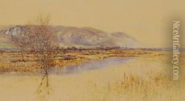 Marshland Landscape Oil Painting - William Frederick Austin