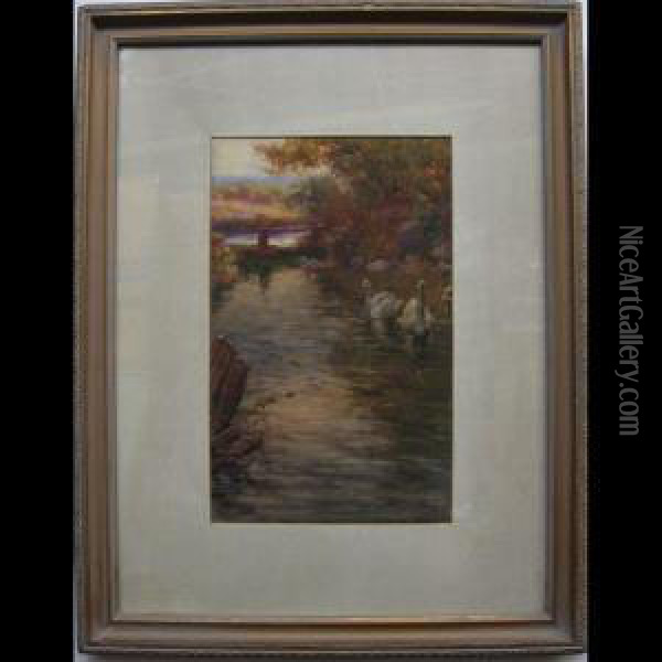 St. David Pool; Two Swans Oil Painting - Charles Macdonald Manly