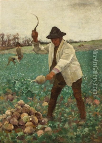 English Peasant Chopping Swedes Oil Painting - Aloysius C. O'Kelly