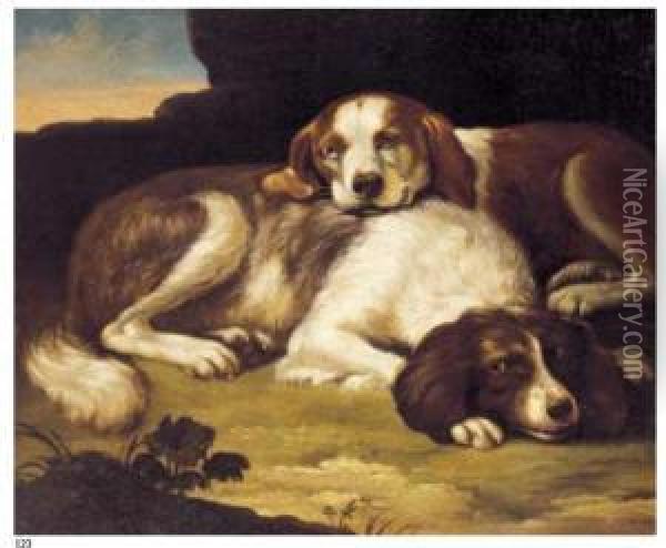 Natura Morta Con Due Spaniels Oil Painting - David de Coninck