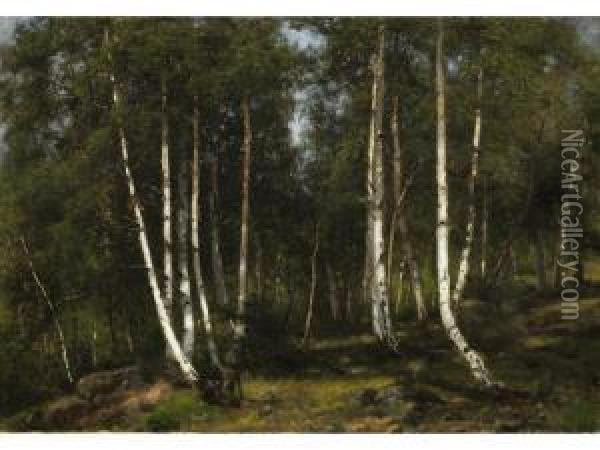 Birkenwald Oil Painting - Arthur Jean Bapt. Calame