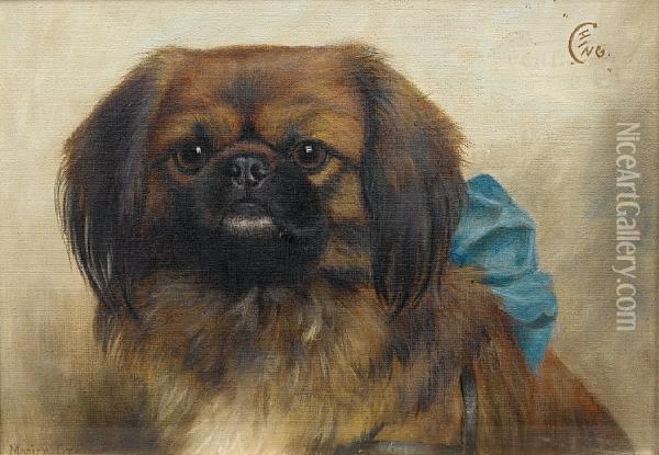 Ching - A Pekingese Oil Painting - Monica Gray