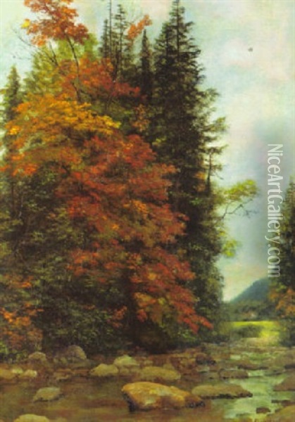 Forest Interior Oil Painting - Albert Bierstadt