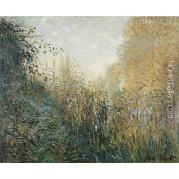 Joncs (study) Oil Painting - Claude Monet