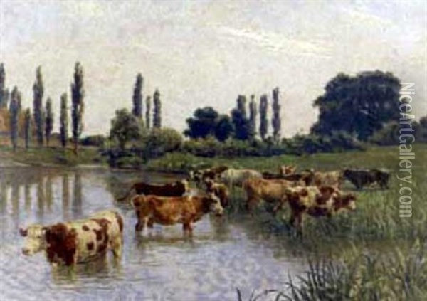 Cows Watering In A Marshland Oil Painting - Stefan Simony