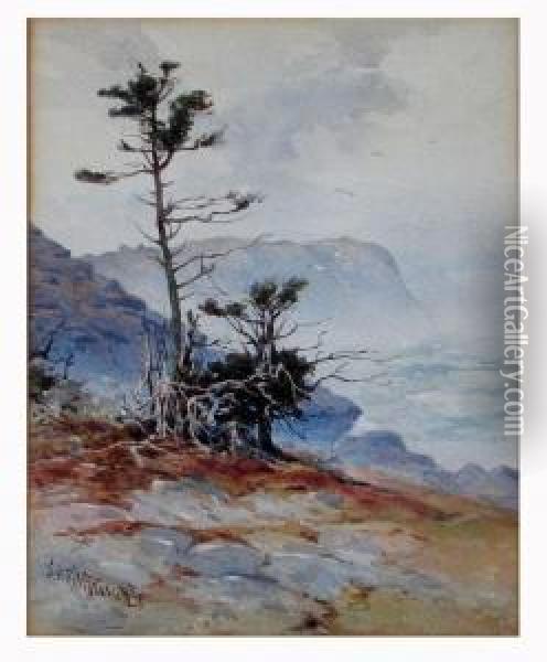 Gull Rock,monhegan Oil Painting - Samuel Peter Rolt Triscott
