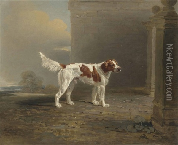 A White Setter In A Landscape By A Gateway Oil Painting - Benjamin Marshall