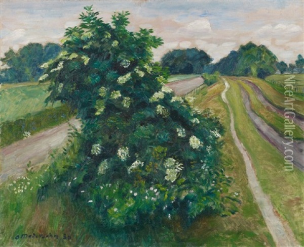 Bluhender Holunderbusch Oil Painting - Otto Modersohn