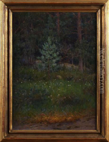 Myrmark I Skogen Oil Painting - Elias Erdtman