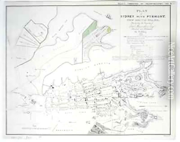 Plan of Sydney with Pyrmont, New South Wales, the latter the Property of Edward Macarthure Esquire Divided into Allotments for Building Oil Painting - James Basire