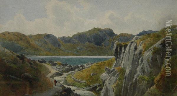 Llyn Crafnant From Above The Gorge Oil Painting - William Dean Barker