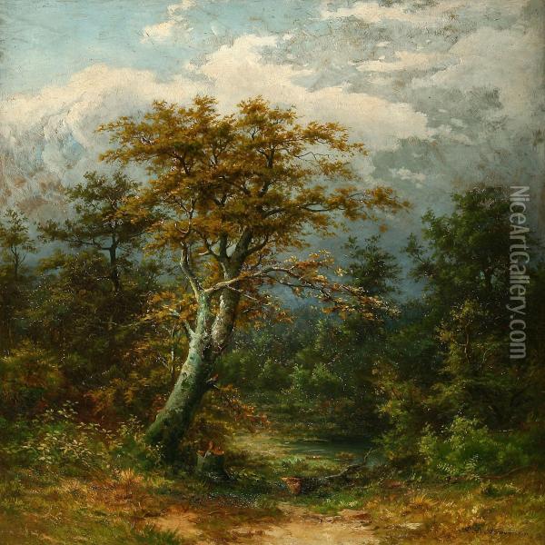 Forest Scene With A Lake Oil Painting - Carl August Sommer