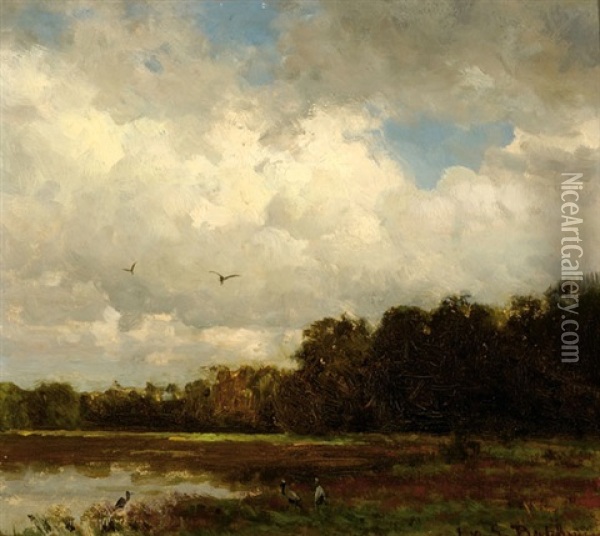 Herons On A Pond In A Polder Landscape Oil Painting - Hendrik van de Sande Bakhuyzen
