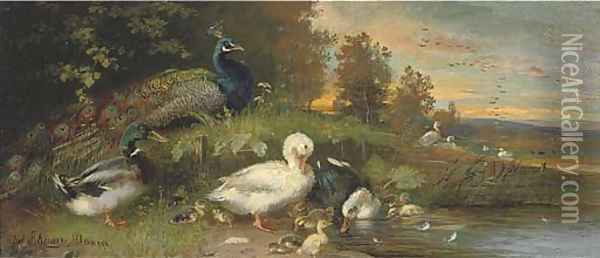 Ducks and a peacock on the banks of a river at dusk Oil Painting - Julius Scheuerer