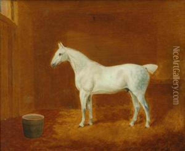 A Grey Horse Standing In A Stable Oil Painting - T. Temple
